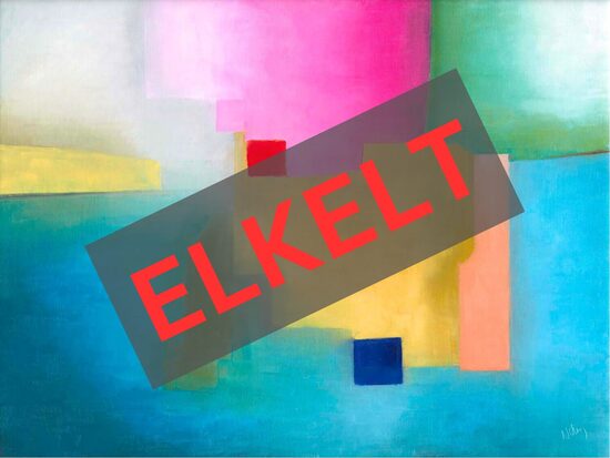 Finding Nemo 60x80 cm